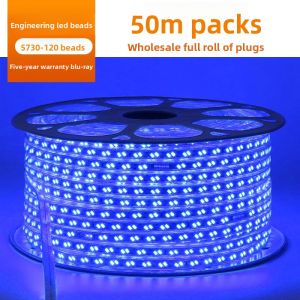 RUILUO | Waterproof Ultra-Thin Self-Adhesive LED Strip Light 220v