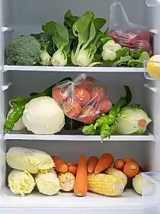 Food Preservation Freshness Box Drawer Type