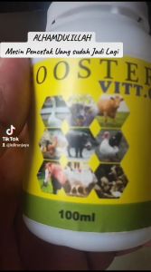Vitamin sapi dan kambing paling bagus biar lahap dan nafsu makan supaya agar cepat gemuk besar