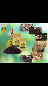 Đất trồng mai vàng trộn sẵn Minh Hân Garden