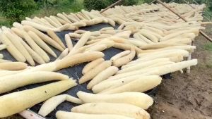 Túi Đựng Xà Phòng Xơ Mướp KB Ecolife – Làm Sạch Tự Nhiên Dưỡng Da Hiệu Quả