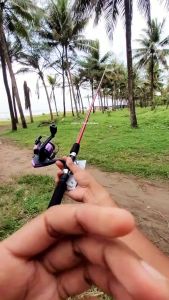 Set Joran Pancing Plus reel Komplit