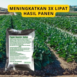 Pupuk Booster Kailan / Obat Booster Kailan / Pupuk Booster Kailan / Pupuk Kailan