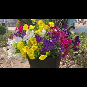 4/12Pcs Artificial Flowers Fake Silk Morning Glory Flower Eucalyptus Plants UV Resistant Garden Summer House Outdoor Decoration