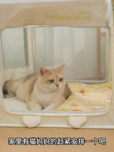 Cat Maternity House Home Birthing Nest for Pregnant Cats Breathable Mesh Pet Delivery Isolation Shelter for Cat Breeding
