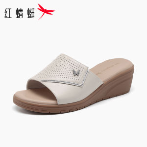 Reddragonfly | Anti-slip Comfort Soft-soled Wedge Slipper Slippers