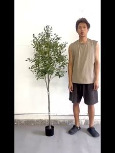 🌴ความจำลอง 99.9%🌴 ต้นโอลีฟ ต้นไม้ปลอม ต้นไม้ปลอมใหญ 120/150/180cm ฟรีกระถางดอก +หินตกแต่ง ต้นไม้แต่งบ้าน+การตกแต่งร้านกาแฟ สไตล์นอร์ดิก ในบ้าน ต้นไม้มงคล ต้นไม้ประดิษฐ์ ต้นไม้ตกแต่งบ้าน ต้นไม้ปลอมสวยๆ ต้นไม้แต่งห้อง ต้นไม้มงคลสวยๆ ต้นไม้มงคลปลอมอมกระถาง