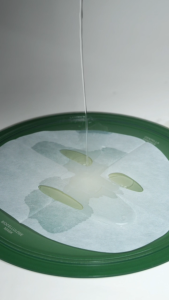 Wild Skin Bio Cellulose Mask 5 pcs. | แผ่นมาส์กไบโอเซลลูโลส 5 ชิ้น