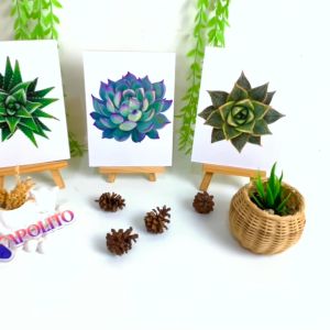 HIASAN DINDING KAKTUS KAMAR DEKORASI RUMAH WALL DECOR PAJANGAN BUNGA KAKTUS