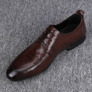 Mens Business Casual Leather Shoes Lace-Up Spring Autumn New Model Top Layer Cowhide Versatile Formal Pure Leather Shoes