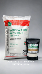 MONOCALCIUM PHOSPHATE (MCP) 1 KILO REPACKED