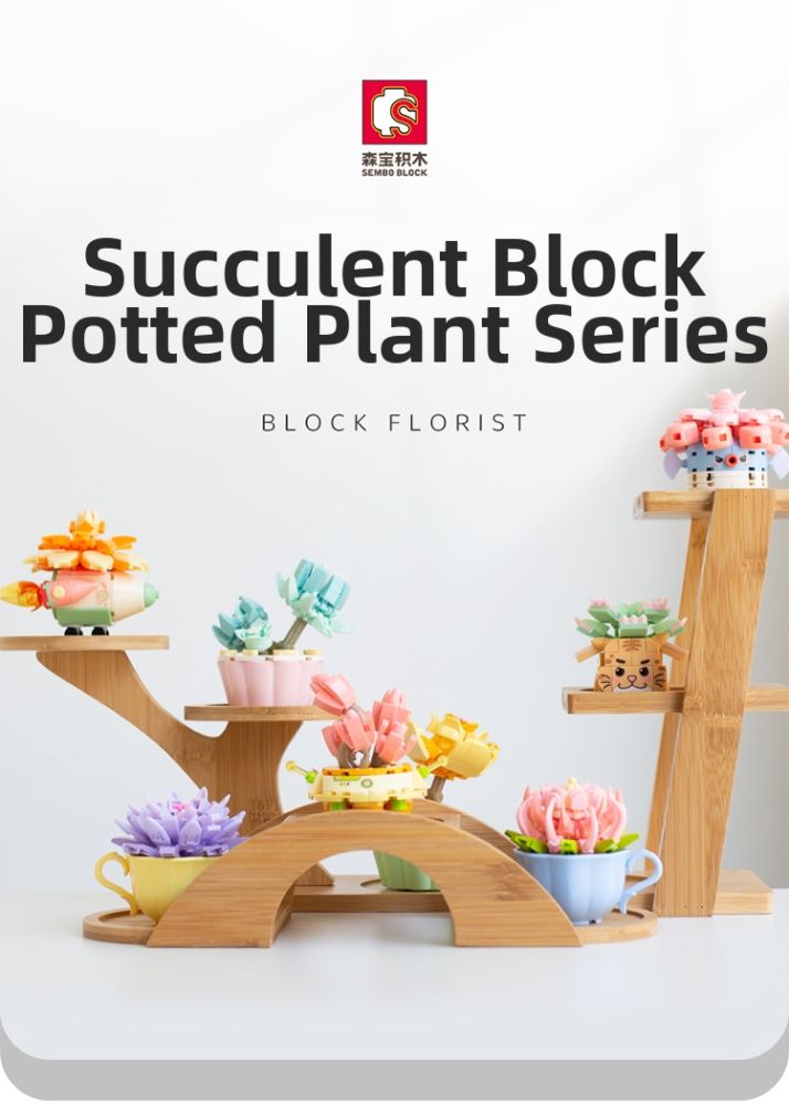 Conjunto de blocos de construção suculenta e buquê diy_voghion.com