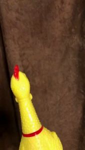 Mainan Anak Ayam Berbunyi / Ayam Berteriak / Screaming Chicken Anti Stres