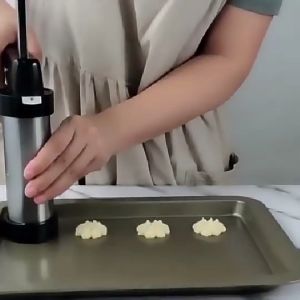 Biskuit Maker & Alat Cetak Biskuit: Panduan Lengkap