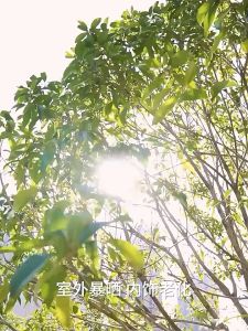 Office Chair Car Seat Cushion-Breathable Honeycomb Design Gel Cushion Soft & Cool Breathable Gel Car Seat Cushion Reduce Sweat Gel Pressure Relief Cushion