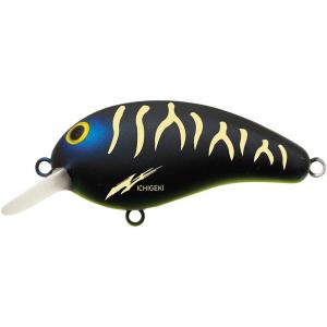 Daiwa | Topwater Fishing Lure