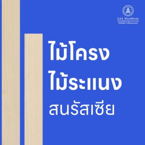 ไม้สนนอก 6ซม. หนา 1 ชิ้น ไม้ diy หนา ยาว 30-100ซม. ชิ้น สกัด SAK WoodWorks