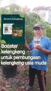 Pupuk BOOSTER KELENGKENG 100% Murni kclo Ampuh Untuk Pembuahan 250 gr