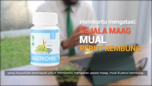 Gastro Hiu Ori Obat Maag Asam Lambung Gerd Kronis Pencernaan Kembung Mual Kapsul Herbal Indo Utama
