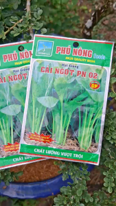 [VTNN TIEN KHOA] Combo 2 Gói Hạt Giống Cải Ngọt PN 02 Của Phú Nông - Chắc Cây Nặng Ký Chịu Nhiệt Chịu Mưa