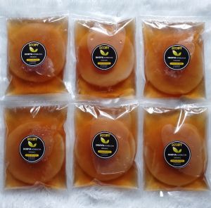 PAKET 6PCS/BUNGKUS JAMUR SCOBY KOMBUCHA Diameter 9cm-12cm