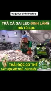 Trà Túi Lọc Cà Gai Leo Đinh Lăng Sadu - Hỗ Trợ Men Gan Mát Gan Thanh Nhiệt Cơ Thể Giúp Lợi Tiểu Tăng Lưu Thông Máu 250g (50 túi lọc)