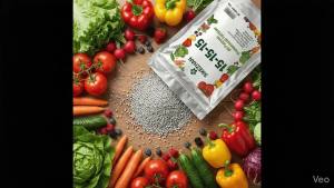 Universal 15-15-15 NPK Granular Fertilizer Balanced Plant Food for Indoor Outdoor Garden Lawn Vegetable Flower Tree Shrub