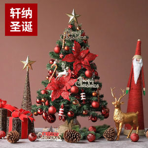 Handmade DIY30-90CM Christmas Tree Suit Creative Christmas Decorations Desktop Mini Small Christmas Tree