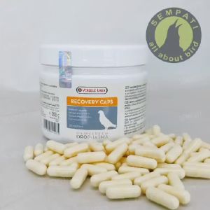 SEMPATI Recovery Caps 1 Capsule Versele Laga Pil Merpati Jamu Obat Burung Merpati Balap Dara Pos Kelelahan Obat Pasca Latihan Training Vitamin Burung Merpati Balap Tinggian Doping Merpati Import RCVPS