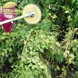 ใบตัดหญ้า ตัดไม้ วงเดือนทอง 10นิ้ว รับประกันหญ้าไม่พัน ตัดหญ้า ตัดไม้ สุดยอดที่สุด