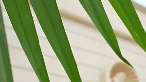 6000 MAH High Speed Jet Mini Fan Rechargeable Portable Handheld 100-speed