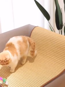 เล็บเล็บ แมวคณะกรรมการ เสื่อลับข่วน แมว Cat Mat Scratch