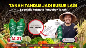 M21 Decomposer 1 liter/M21 decomposer/M21 Decomposer/M21 Decomposer Pupuk Organik Kemasan 1 Liter /Pupuk M21 Decomposer Kemasan 1000 ml/M21 Decomposer