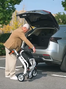 {SG} Elderly travel aid 2-in-1 use elderly health wheelchair adjustable armrest height