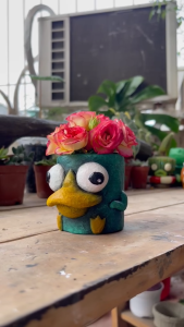 Chậu Cây Sen Đá Handmade Thú mỏ Vịt Perry