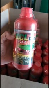 Pupuk Ajaib PERBANYAK BUAH SINGKONG KCL PLUS GAZA Panen Singkong Lebih Banyak dan Besar Pupuk NPK Cair Paling Manjur Tinggal Semprot Padi Langsung Lebat dan Berat - Pupuk Organik Terbaik Pelebat Anakan Padi Hasil Panen Maksimal 100% ORIGINAL