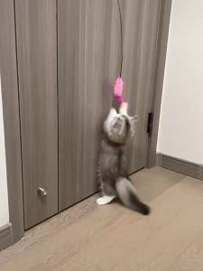 [HACIKO PETSHOP] Mainan Interaktif Kucing Model Gantung Bentuk Dengan Bel Pet Cat Toy Tikus Bersuara