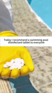 Pool Chlorine For Swimming Pool Algaecide Chlorine Tablet For Swimming Pool 100g