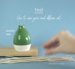 Real Scents Reed Diffuser Set | 100ml