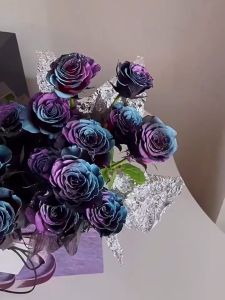 Cool Color Floral Spray: Semprotan Bunga Cat Bunga & Pilox Pylox Untuk Bunga