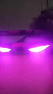 UNIVERSAL motorcycle Plate Holder LED plate light plate cover wings light plateholder 12V flash warning light