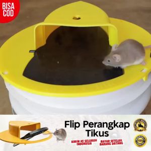 THE BEST Jebakan Perangkap Tikus Model Tutup Ember Gio77 Produk Asli Kualitas Terjamin Garansi Servis Pusat Resmi - Lazada