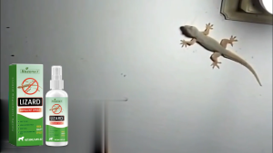 HozoneX Gecko Repellent Spray Convenient Household Indoor Pest Control Spray 50ml