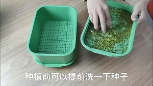 3Pcs Plastic Seed Sprouting Tray Vegetable Seed Breathable Bean Sprouts Seedling Pots Hydroponic Bean Growing Nursery Kits Soilless Cultivation Germination Nursery Tray