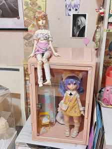 กล่องเก็บของสำหรับตุ๊กตา BJD ชั้นวางแสดง กล่องเก็บของ Labubu พลาสติก ขนาดใหญ่ ความจุสูง สไตล์บ้านๆ สำหรับผู้ใหญ่