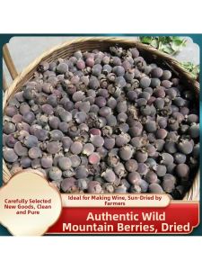 Fresh Wild Myrica Rubra Fruit