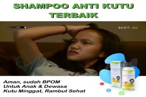Shampo Kutu - Shampo Shirami Anti Kutu Rambut Anak dan Dewasa | shampoo anti ketombe obat kutu remimpi shampoo shampoo awday sampo kutu shampoo kutu Remimpi
