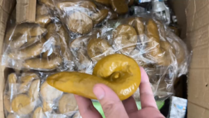 SIZE 11CM Cục Phân Giả 💩 Tỷ Lệ Như Thật Đồ Chơi Giải Trí Độc Lạ Hài Hước Troll Bạn Bè Đạo Cụ Quay Clip Troll