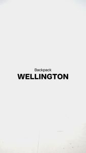 Ransel Wellington Liter Daypack Arei Outdoorgear