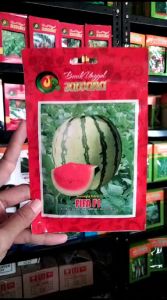 Bibit SEMANGKA FIFA F1 5 gr Benih Buah Unggulan JAWARA